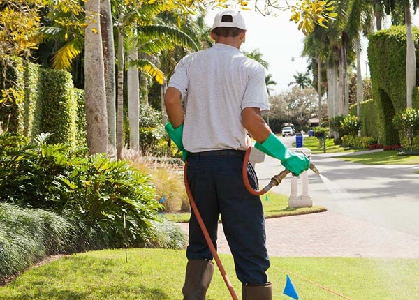 About Darragh PA Pest Control